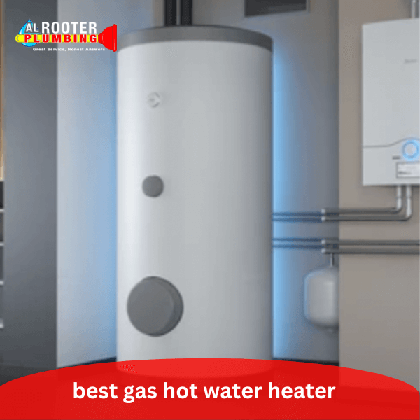  best gas hot water heater 