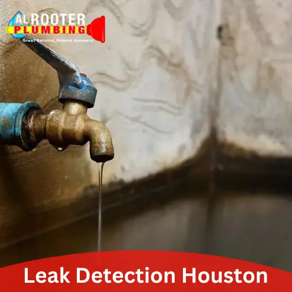 leak detection houston