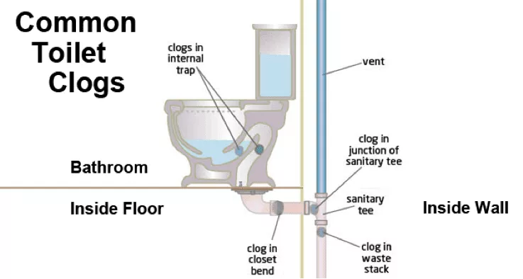 Toilet sewer line clogged 2